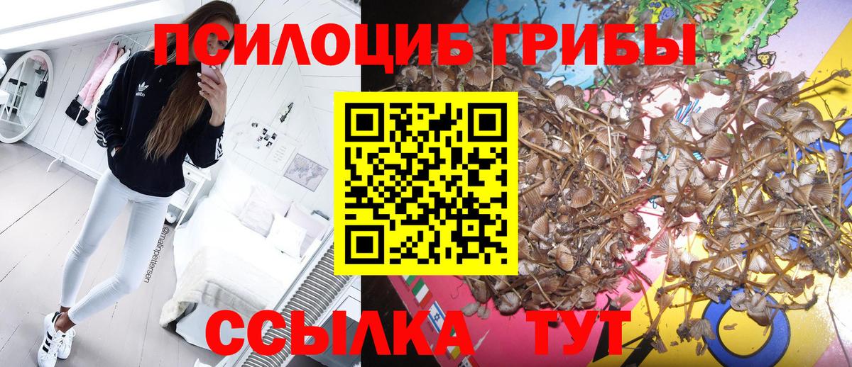 Псилоцибиновые грибы MAGIC MUSHROOMS  Вход с VPN  Калуга  Галлюциногенные грибы Cubensis 